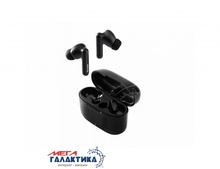  Panasonic RZ-B110WDG-K